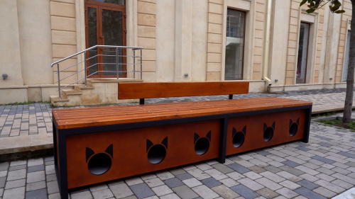 Проект «Мяу-хаус»: в Дербенте установлены модульные домики для кошек
