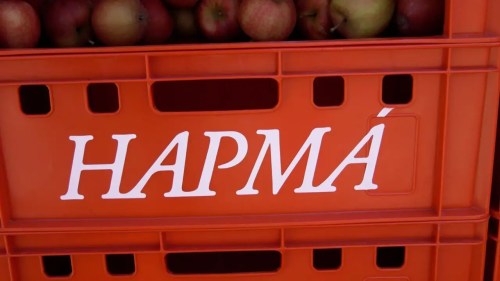 В Дербенте открылся III фестиваль современного искусства «НАРМА»