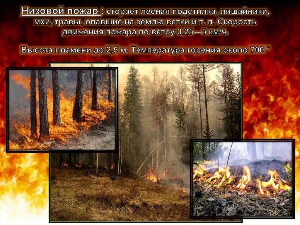 Действия при пожарах Действия при пожарах